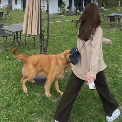 板球好女将